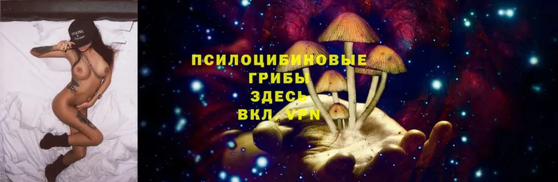 маркетплейс состав  Спасск-Рязанский  Псилоцибиновые грибы Magic Shrooms 